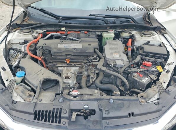 JHMCR6F35HC005873 2017 HONDA ACCORD White Սալոնի հետևի տեսք