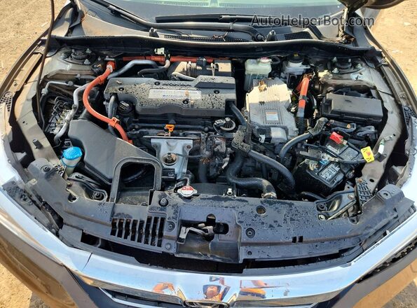 JHMCR6F35HC007218 2017 HONDA ACCORD Brown Սալոնի հետևի տեսք