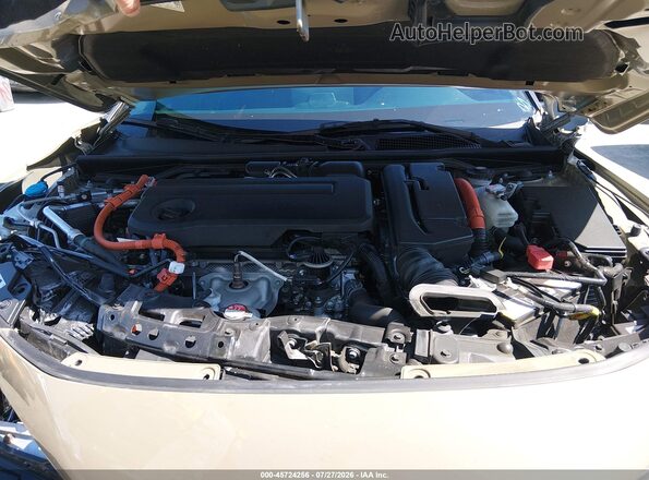 JHMFL4H94SX004749 2025 HONDA CIVIC Brown Вид ззаду