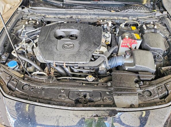 JM1BPALMXP1609979 2023 MAZDA 3 Black Սալոնի հետևի տեսք