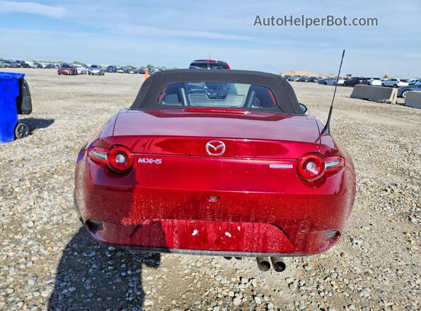 JM1NDAB70R0607104 2024 MAZDA MX-5 Red Rear view