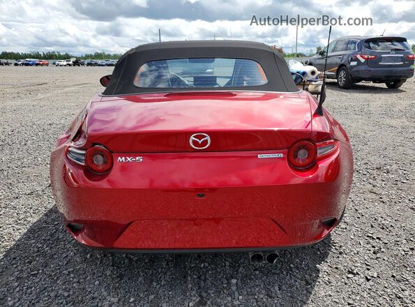 JM1NDAC73S0657337 2025 MAZDA MX-5 Red Widok z tyłu