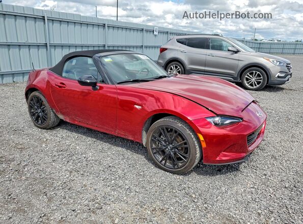 JM1NDAC73S0657337 2025 MAZDA MX-5 Red Przód prawy