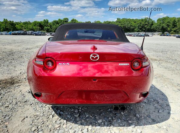 JM1NDAD76R0606276 2024 MAZDA MX-5 Red Вид ззаду