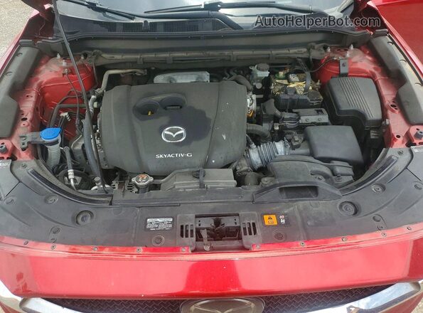 JM3KFADM2L1831631 2020 MAZDA CX-5 Красный Вид задней части салона