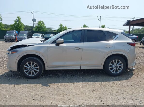 JM3KFBBL4R0451253 2024 MAZDA CX-5 Gray Սալոնի 360 աստիճան տեսք