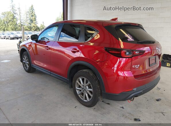 JM3KFBBM7P0148473 2023 MAZDA CX-5 Purple Հետևի ձախ