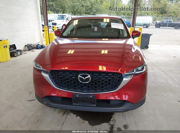 JM3KFBBM7P0148473 2023 MAZDA CX-5 Purple Սալոնի հետևի տեսք