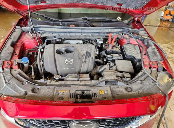 JM3KFBBM9P0287245 2023 MAZDA CX-5 Burgundy უკანა სალონის ხედი