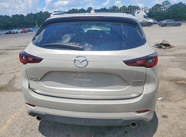 JM3KFBCL5S0679699 2025 MAZDA CX-5 Silver Widok z tyłu