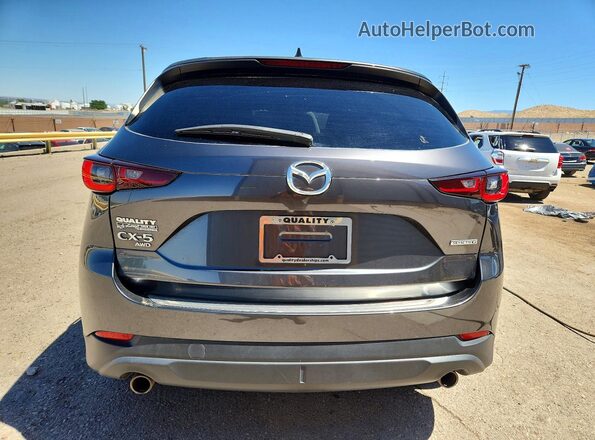JM3KFBCM6P0111882 2023 MAZDA CX-5 Gray Widok z tyłu