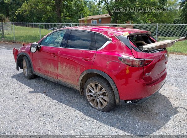 JM3KFBDM5K1648244 2019 MAZDA CX-5 Red უკანა მარცხენა