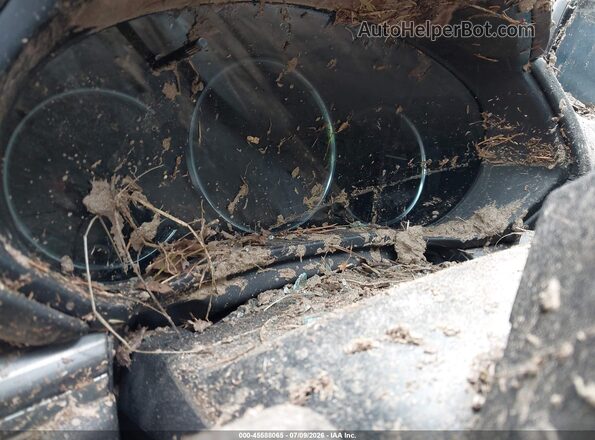JM3KFBDM5K1648244 2019 MAZDA CX-5 Red უკანა სავარძლების ხედი