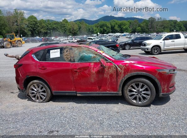 JM3KFBDM5K1648244 2019 MAZDA CX-5 Red უკანა სალონის ხედი