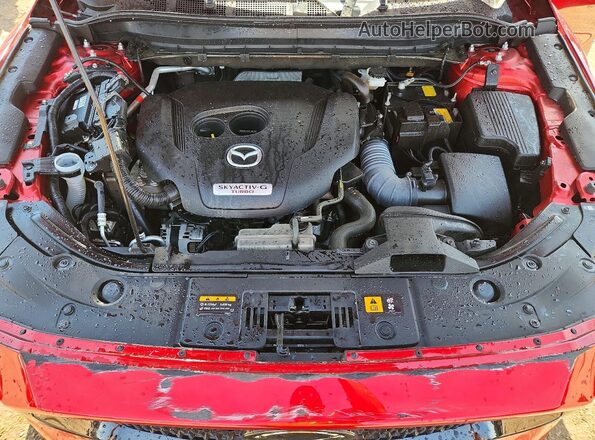 JM3KFBDY7S0579274 2025 MAZDA CX-5 Red Widok wnętrza z tyłu
