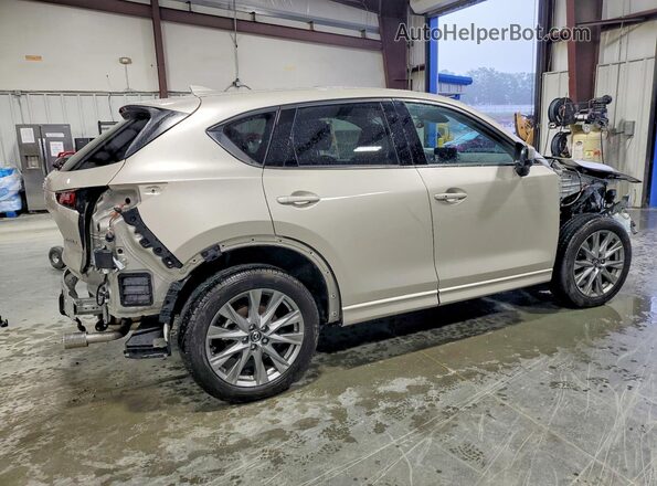 JM3KFBEM8S0750366 2025 MAZDA CX-5 Beige Tył prawy