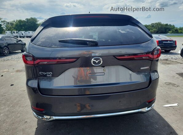 JM3KK1HC1R1166033 2024 MAZDA CX-90 Gray Widok z tyłu