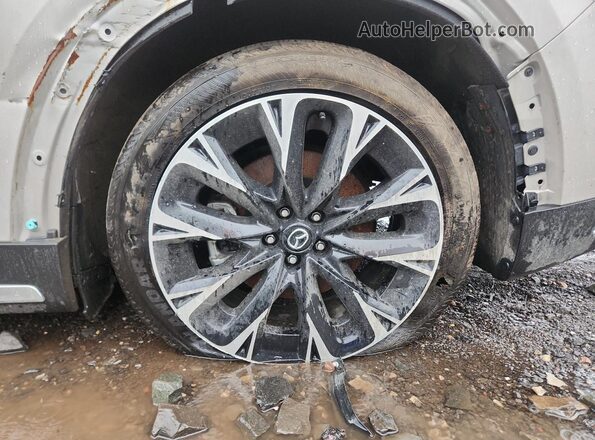 JM3KKDHAXR1157704 2024 MAZDA CX-90 Tan 