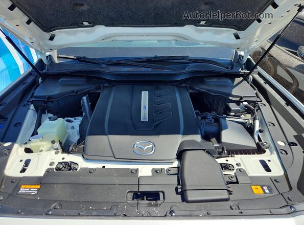 JM3KKEHA3R1139213 2024 MAZDA CX-90 White Vista interior trasera