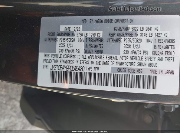 JM3TCBAY9P0649480 2023 MAZDA CX-9 Gray Vista del compartimento del motor