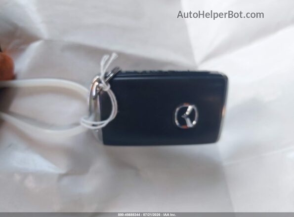 JM3TCBAY9P0649480 2023 MAZDA CX-9 Gray Vista del salpicadero