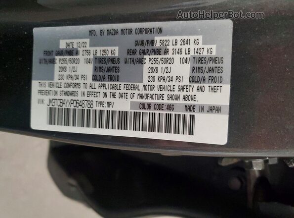 JM3TCBAYXP0648788 2023 MAZDA CX-9 Gray სალონის 360-გრადუსიანი ხედი