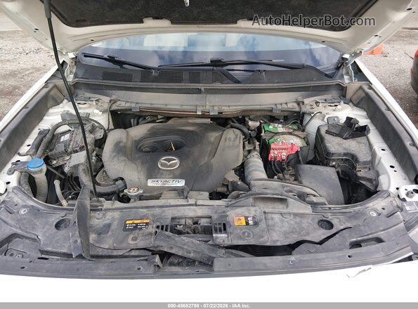 JM3TCBCY5G0110576 2016 MAZDA CX-9 Белый Вид сзади
