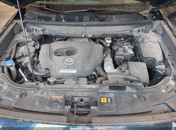 JM3TCBCY5K0304145 2019 MAZDA CX-9 Синий Вид сзади