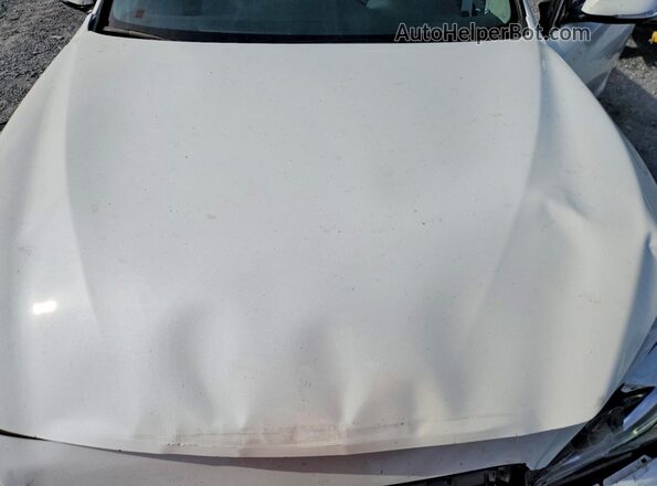 JN1EV7BP0RM600097 2024 INFINITI Q50 White Rear interior view