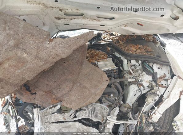 JN1EV7BP3MM705144 2021 INFINITI Q50 White Rear view