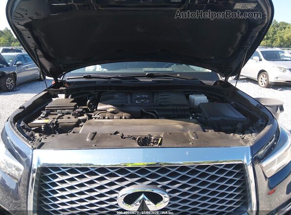 JN8AZ2AF1R9765367 2024 INFINITI QX80 Dark Blue Rear view