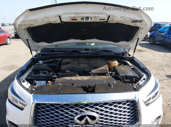 JN8AZ2AF2M9718129 2021 INFINITI QX80 White Rear view