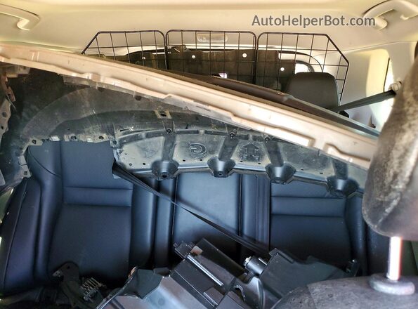 JN8BT3BA2RW352986 2024 NISSAN ROGUE Коричневый Вид задних сидений