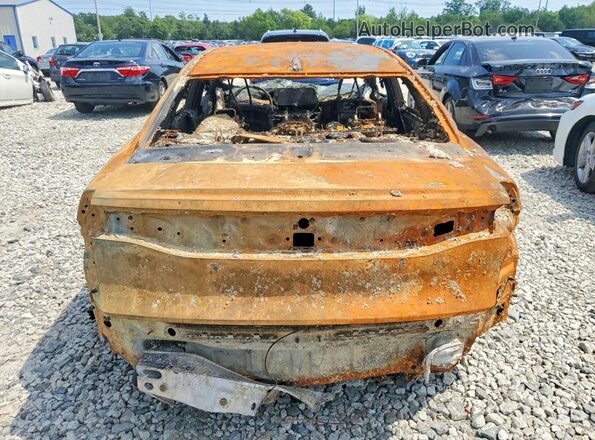 JTDAAAAF6P3006629 2023 TOYOTA CROWN Gray Rear view