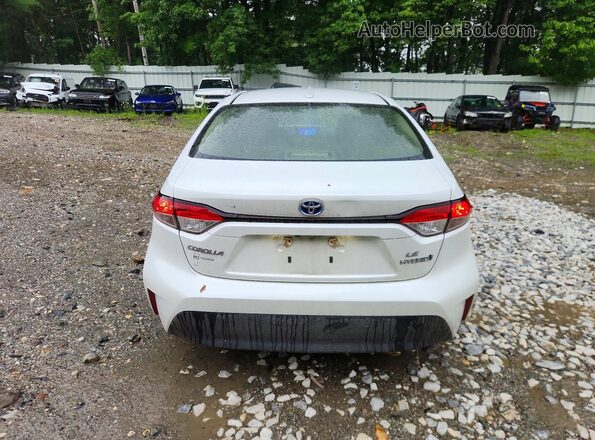 JTDBCMFEXP3008755 2023 TOYOTA COROLLA Белый Вид сзади
