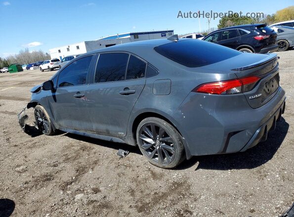 JTDBDMHE0P3004000 2023 TOYOTA COROLLA Gray Հետևի ձախ