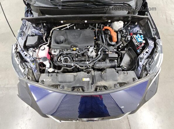 JTEAAAAH3MJ046980 2021 TOYOTA VENZA Blue 