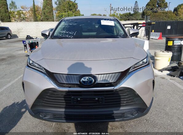 JTEAAAAH6MJ009504 2021 TOYOTA VENZA Silver Вид задньої частини салону