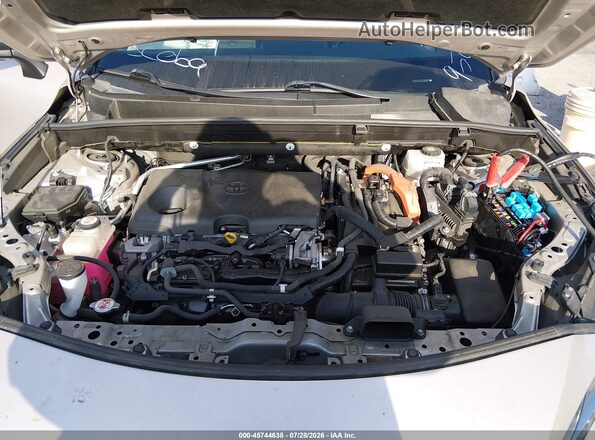 JTEAAAAH6MJ009504 2021 TOYOTA VENZA Silver Вид ззаду