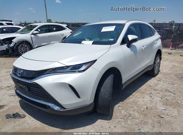 JTEAAAAH6PJ124513 2023 TOYOTA VENZA White Передня ліва чверть