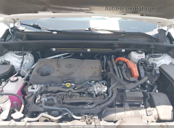 JTEAAAAH6PJ124513 2023 TOYOTA VENZA White Вид ззаду
