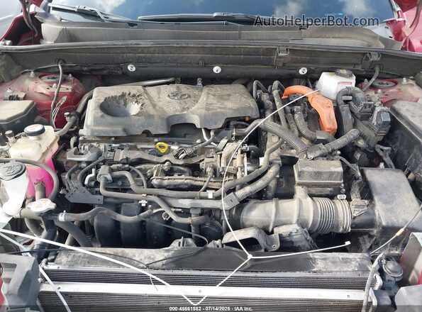 JTEAAAAH9MJ023798 2021 TOYOTA VENZA Burgundy უკანა ხედი