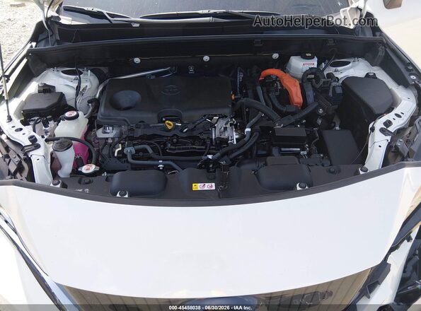 JTEAAAAH9MJ030590 2021 TOYOTA VENZA White Вид ззаду