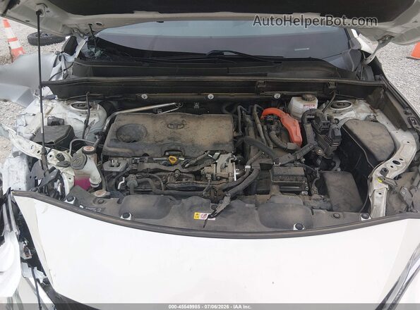 JTEAAAAH9MJ059605 2021 TOYOTA VENZA White Widok z tyłu