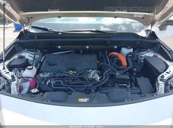 JTEAAAAH9MJ080020 2021 TOYOTA VENZA Silver Rear view