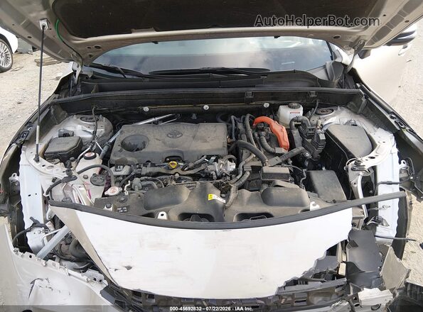 JTEAAAAH9PJ142973 2023 TOYOTA VENZA Beige Rear view