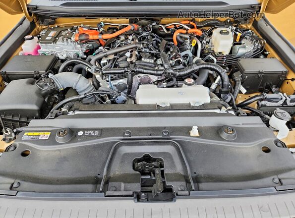 JTEABFAJ5RK009816 2024 TOYOTA LAND Tan Вид задньої частини салону