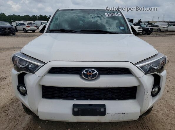 JTEBU5JR2G5384976 2016 TOYOTA 4RUNNER Белый Вид спереди
