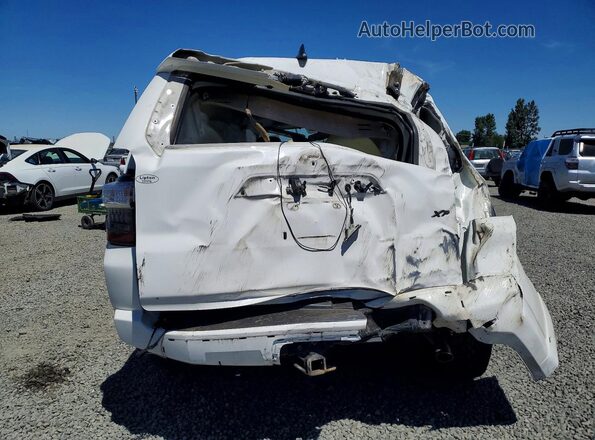 JTEBU5JR7K5643065 2019 TOYOTA 4RUNNER Белый Вид сзади