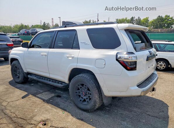 JTEBU5JR8K5653992 2019 TOYOTA 4RUNNER Белый Задняя левая четверть